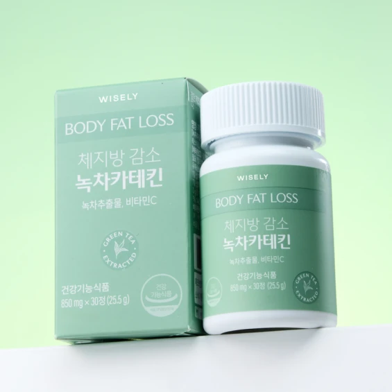 체지방 감소 녹차 카테킨