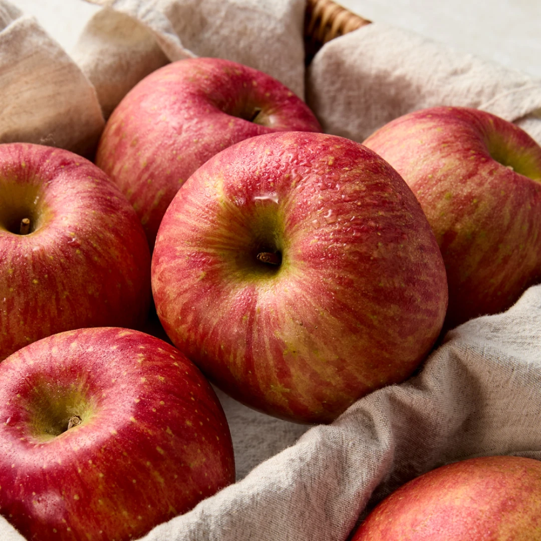 당도선별 GAP인증 사과 (1.5kg 중과, 5-7입/봉)