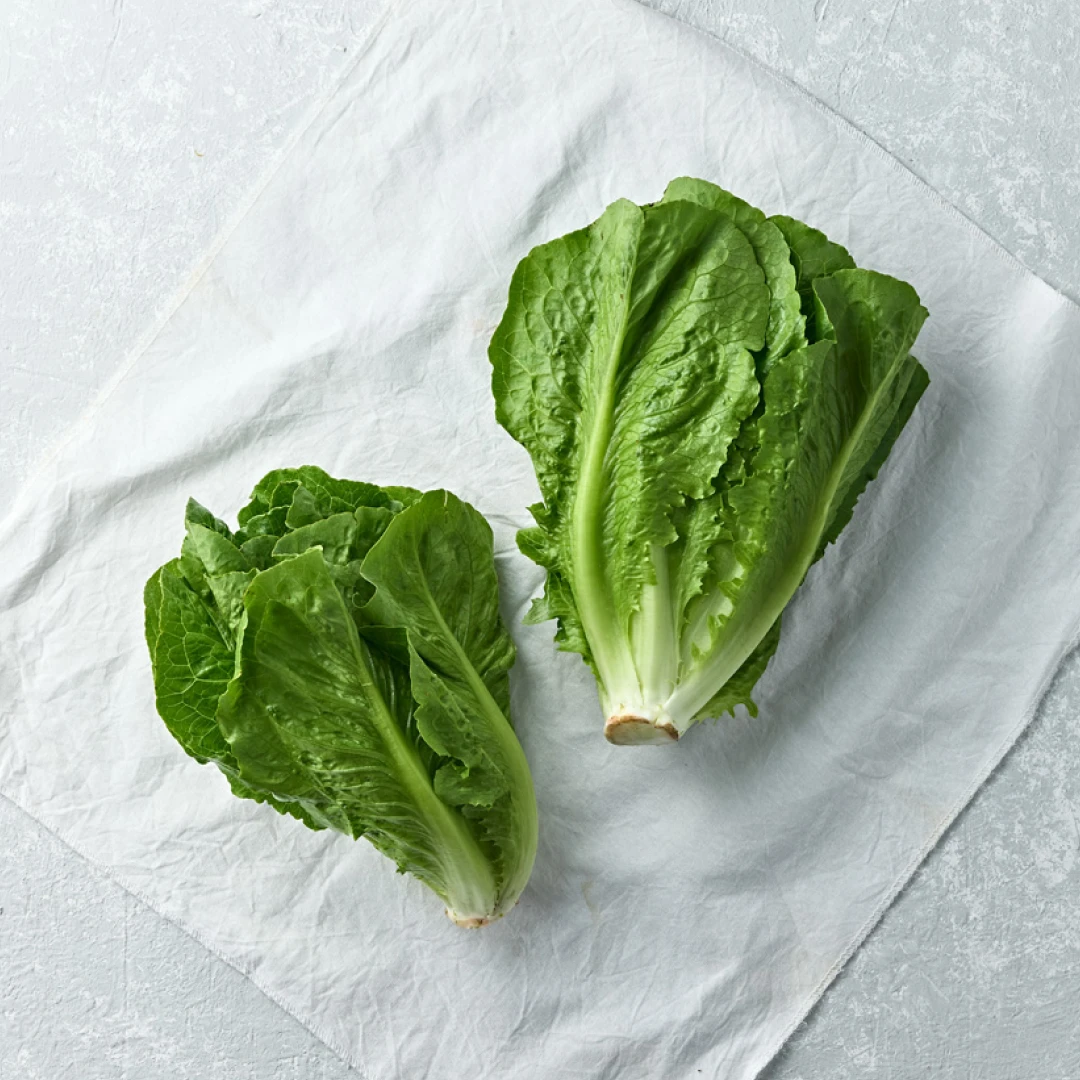 새벽경매 포기 로메인 300g | 월~금 19시 30분 재입고