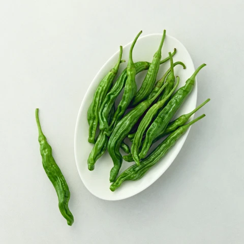 새벽경매 꽈리고추 150g