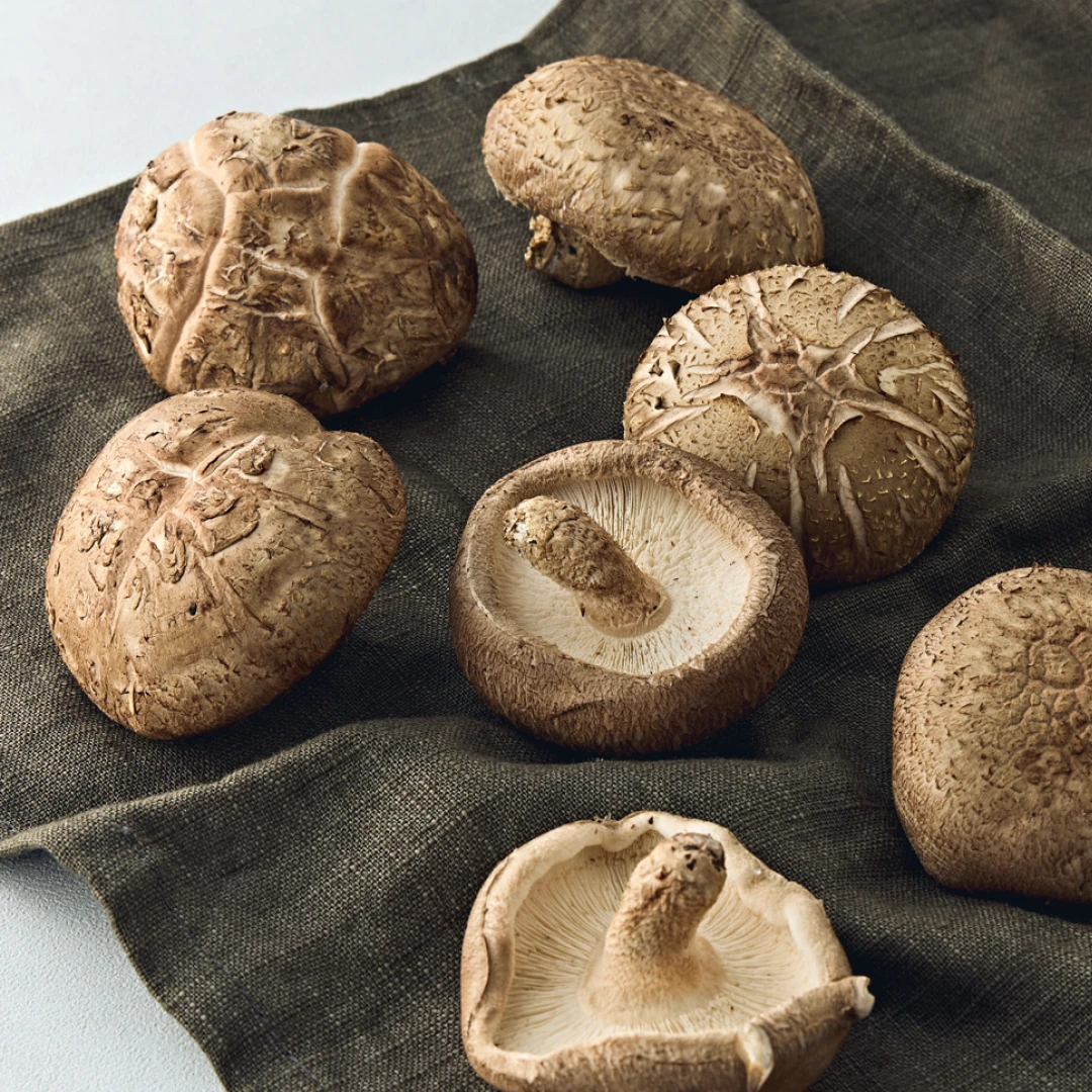 새벽경매 표고버섯 200g | 월~금 19시 30분 재입고