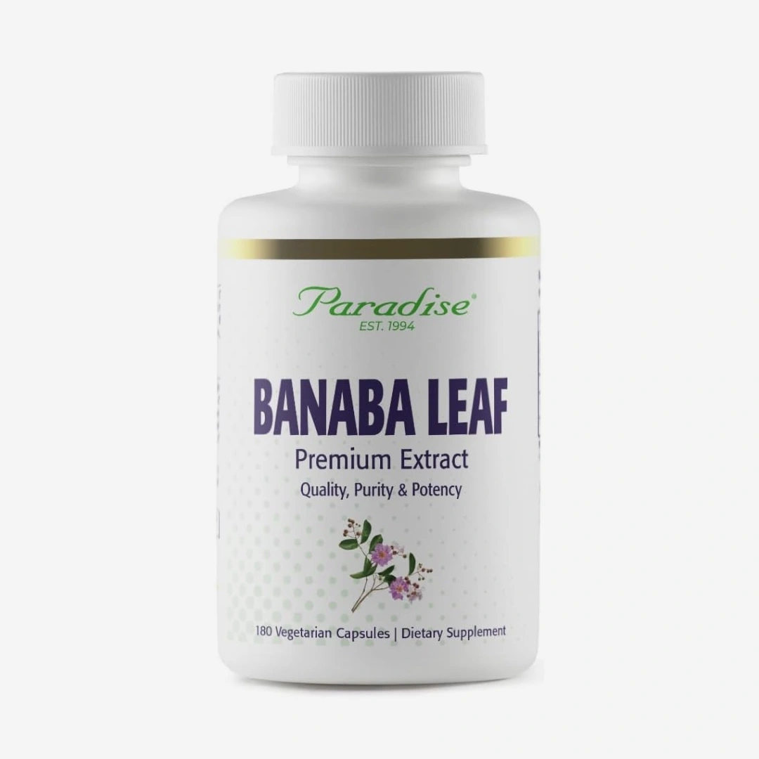 허브 바나바잎 추출물 180정