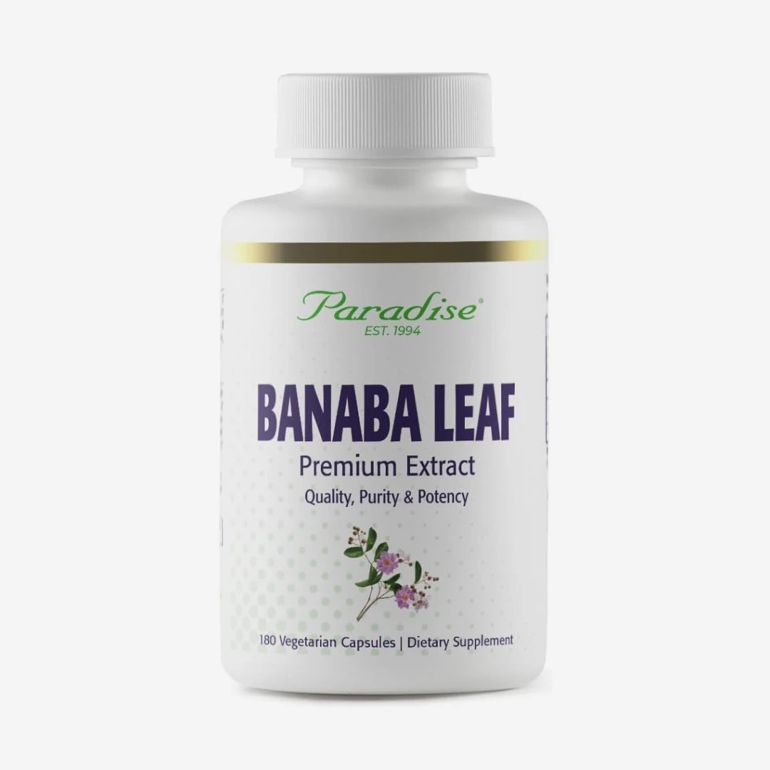 허브 바나바잎 추출물 180정