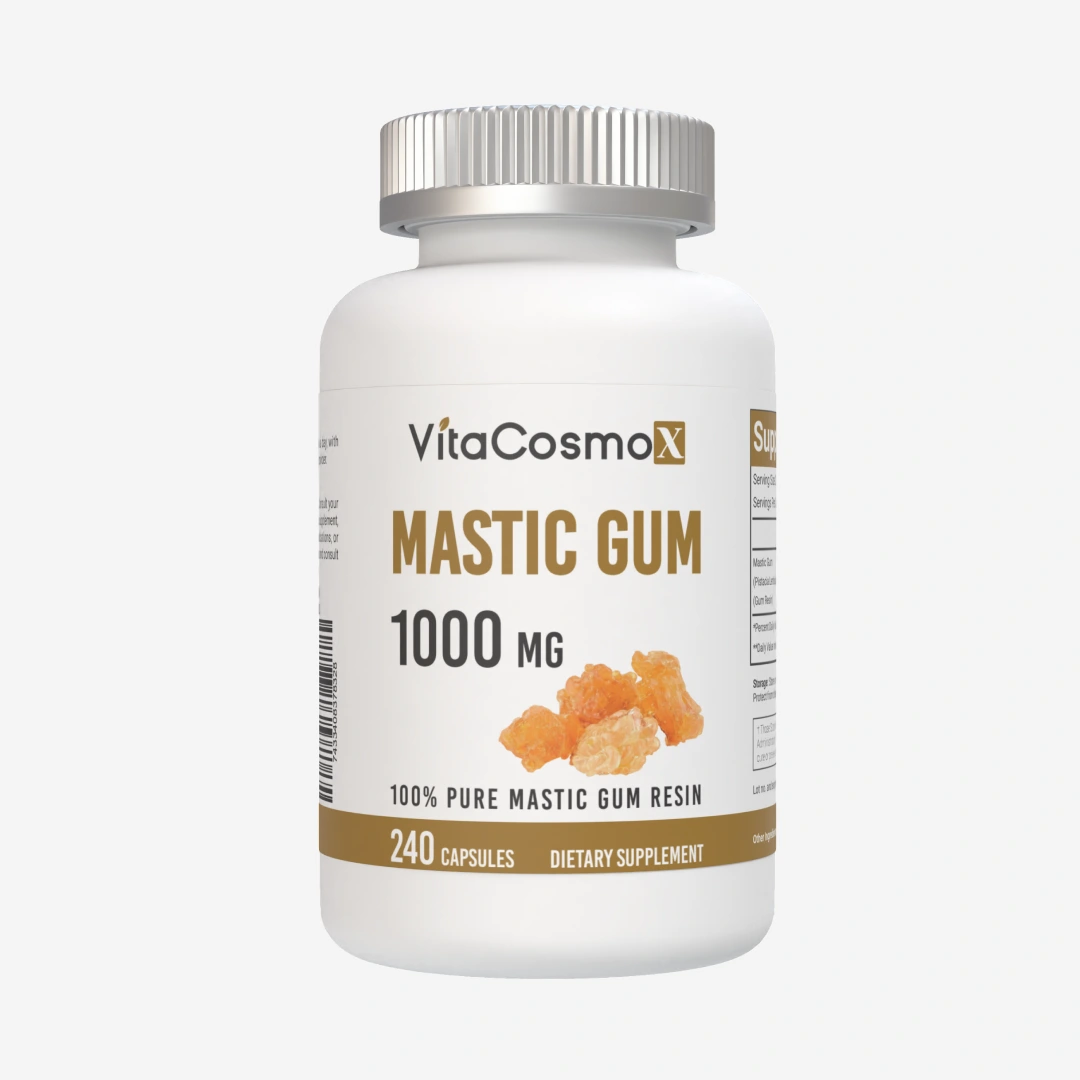 매스틱검 1000mg 240캡슐