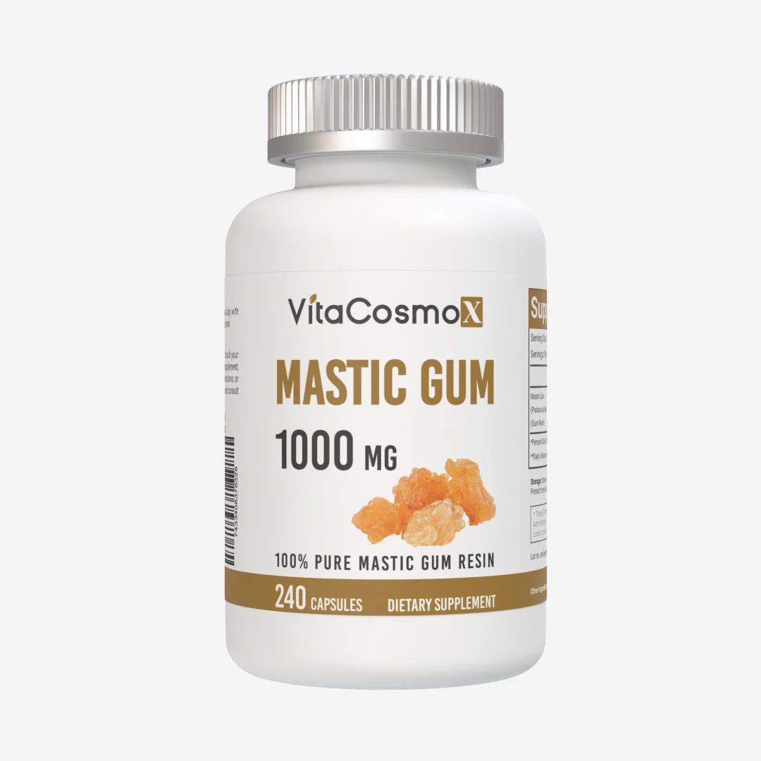 매스틱검 1000mg 240캡슐