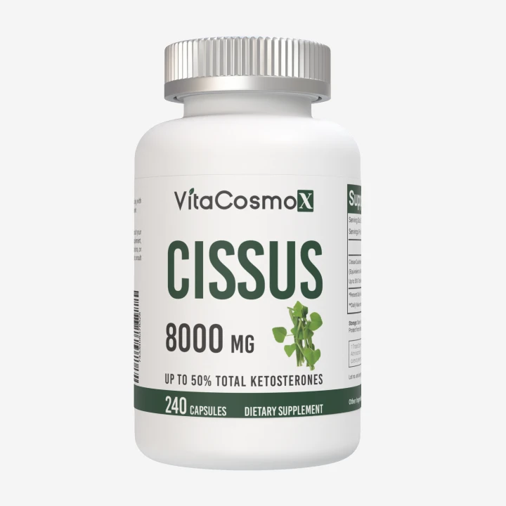 시서스 8000mg 240캡슐