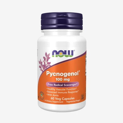 피크노제놀 100mg 60캡슐(60일분)