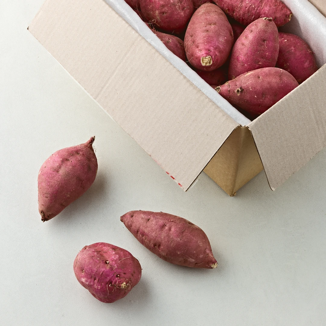 세척 꿀밤고구마 3kg (특상)