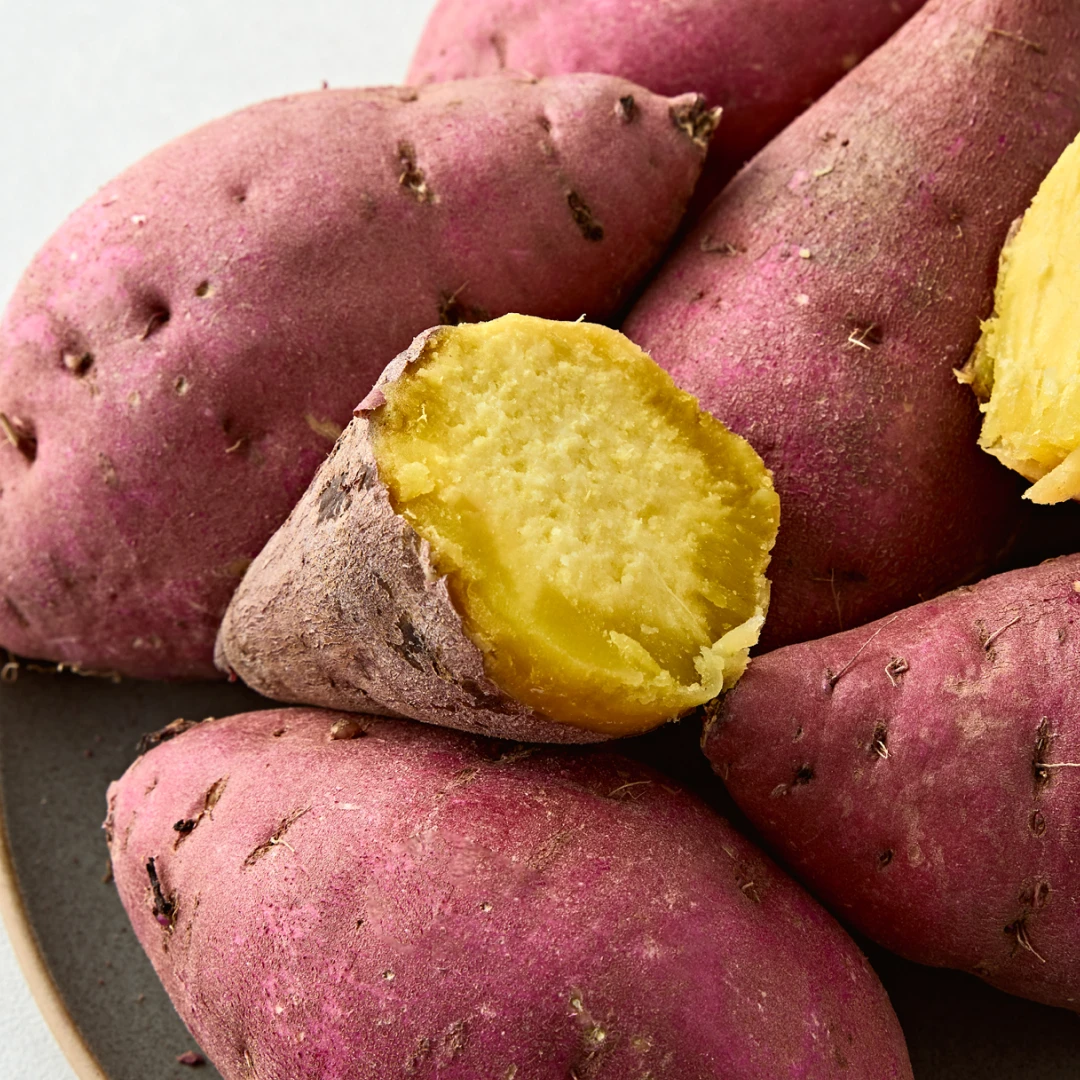 세척 꿀밤고구마 1.5kg (특상)