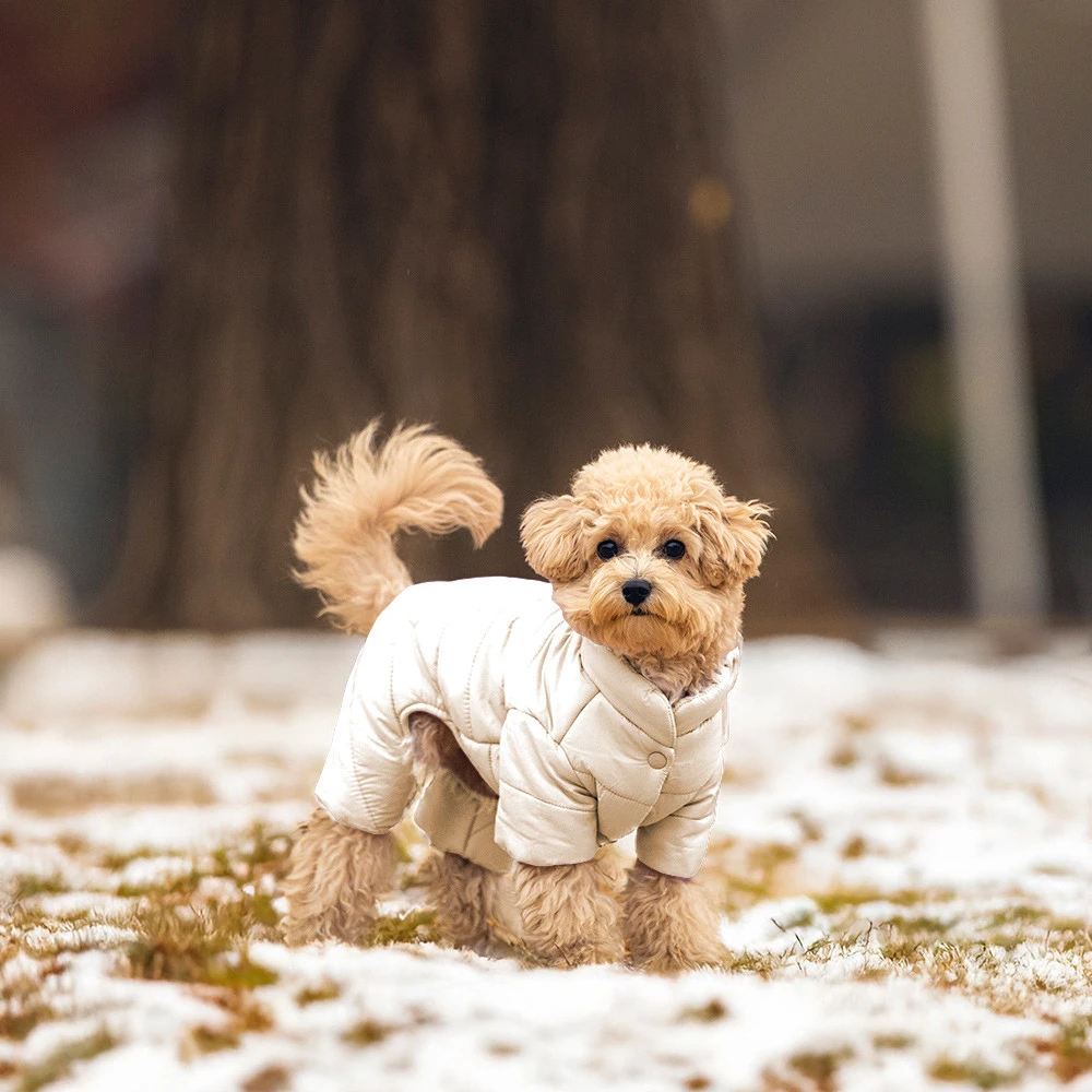 펫트리움 올인원 강아지 패딩 하네스 겨울 점퍼