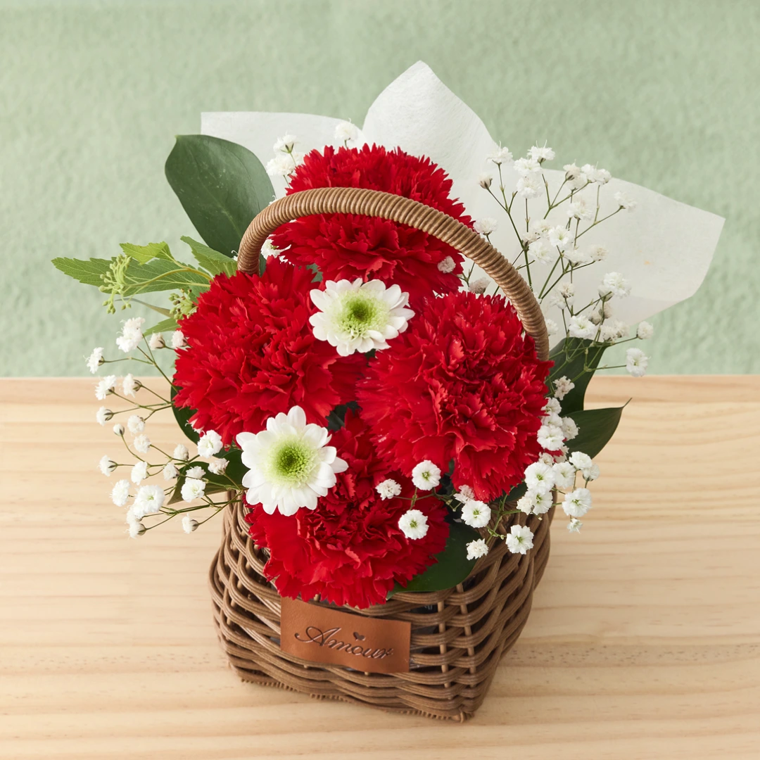(사전예약) 생화 카네이션 꽃바구니 레드 (소)